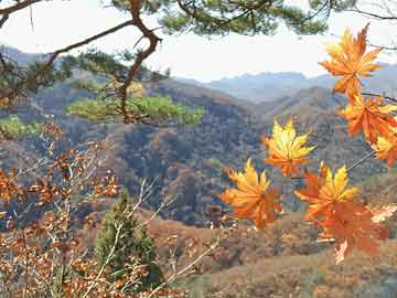 分享日记软件 分享日记软件库